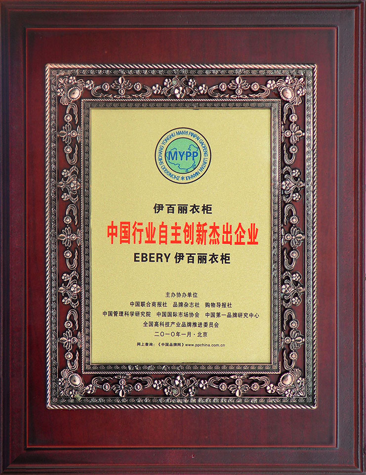 自主創(chuàng)新杰出企業(yè)