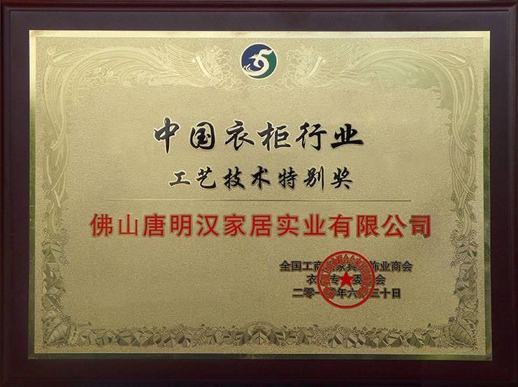 中國工藝技術(shù)特別獎(jiǎng)